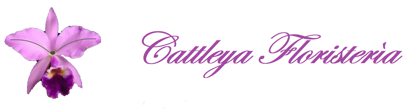 Cattleya Floristería